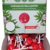 Caramelos de palo relajantes